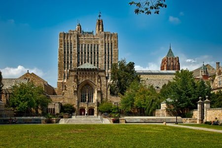 Uniwersytet Yale inwestuje w kryptowaluty