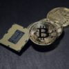 elon musk bitcoin kryptowaluty craig wright