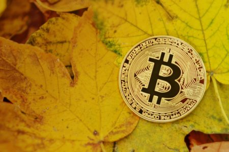 Van Eck: krypto inwestorzy przerzucają się z Bitcoina na złoto