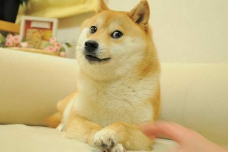Porozmawiajmy o DOGECOIN | Czy DOGE to kryptowalutowy żart?