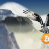 bitcoin fundamenty 2019 news