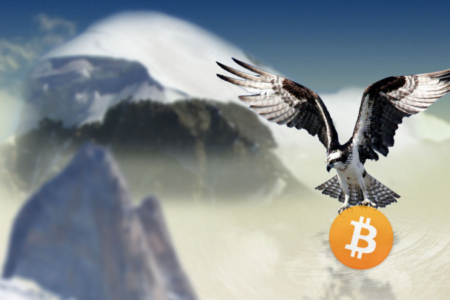 Dno już było | Fundamenty wzrostów bitcoina w 2019