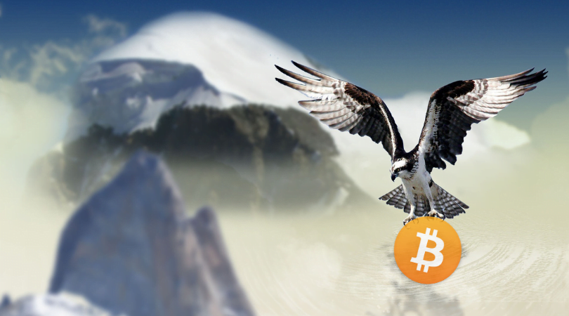 bitcoin fundamenty 2019 news