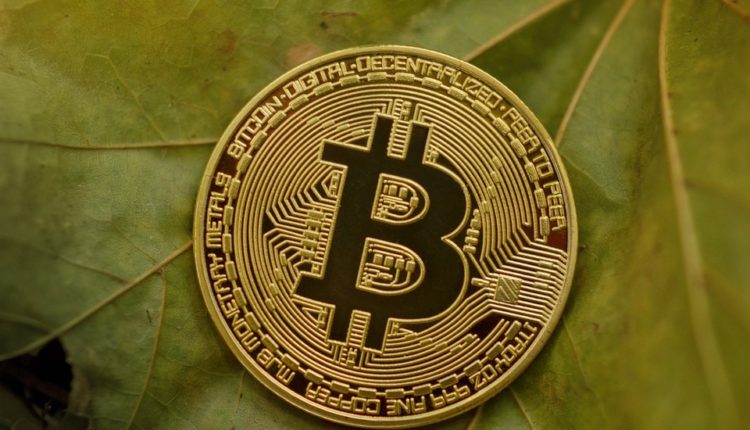 Wydobywał kryptowaluty. Policja najechała jego dom pod pretekstem uprawy marihuany