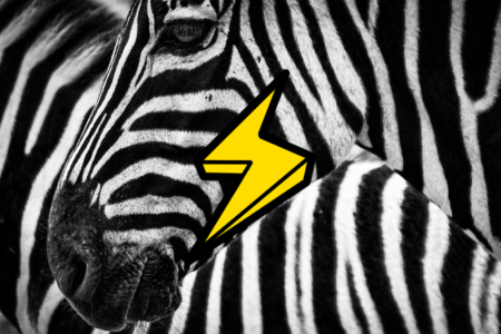 Pierwsza giełda kryptowalut z płatnościami Lightning Network