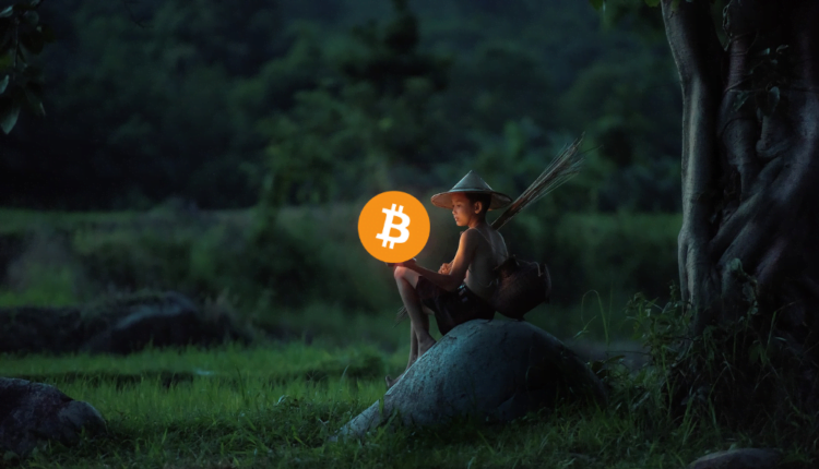 Pierwsza autoryzowana giełda kryptowalut w Wietnamie