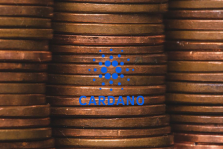 Cardano Stake Pool | Jak zarabiać ADA?