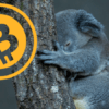 craig wright satoshi