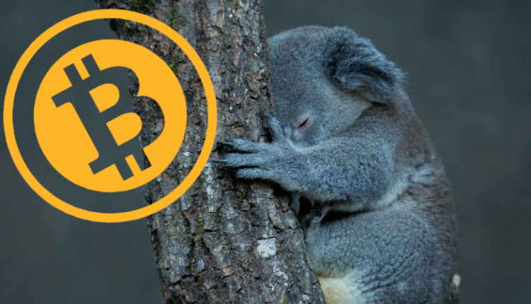 Craig Wright potwierdza, że nie jest Satoshim Nakamoto?