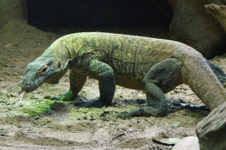 Zhakowali własnych klientów, żeby uratować 13 milionów $