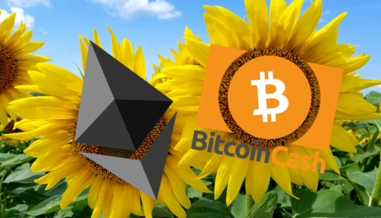Buterin | Symbioza Ethereum i Bitcoin Cash