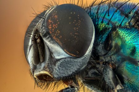 Mucha nie siada, czyli jak działała dźwignia na Bitmarket