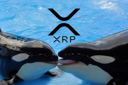 Ripple otrzymuje kolejny 1 000 000 000 XRP | Ile sprzeda tym razem?