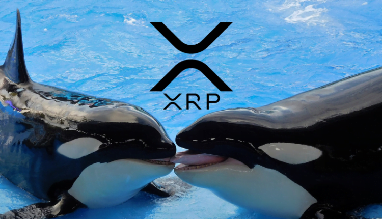 Ripple otrzymuje kolejny 1 000 000 000 XRP | Ile sprzeda tym razem?