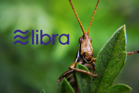 Libra Bug Bounty rozpoczęty! | Ile płacą za wykrycie krytycznych błędów?