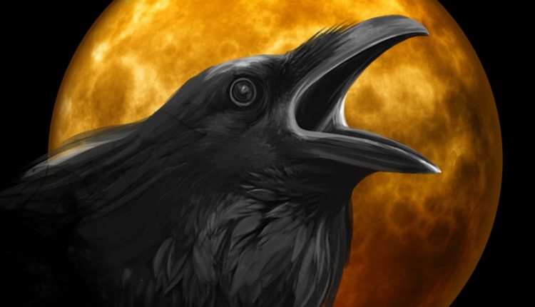 raven-995208_1920