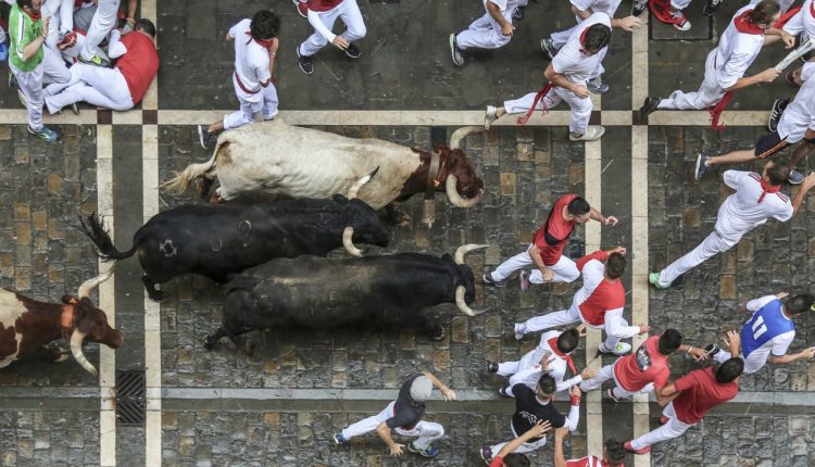 bullrun