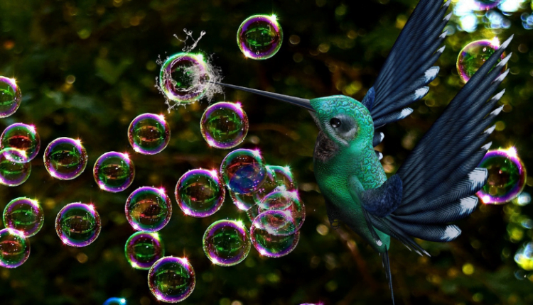 Administracja Trumpa odpowiedzialna za pęknięcie bańki BTC w 2017 roku