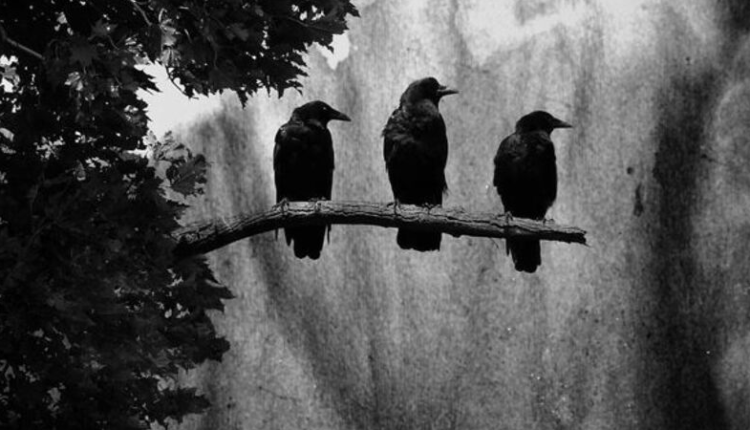 Trzy czarne kruki przysiadły na wykresie BTC | Złowróżebny omen czy strachy na lachy?