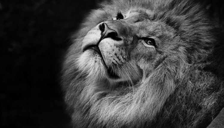 Wartość BTC przekracza 170% YTD | Tradycyjne aktywa mocno w tyle