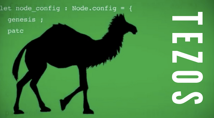 Jedyna kryptowaluta, która cały czas pnie się w górę