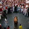bull run bitcoina