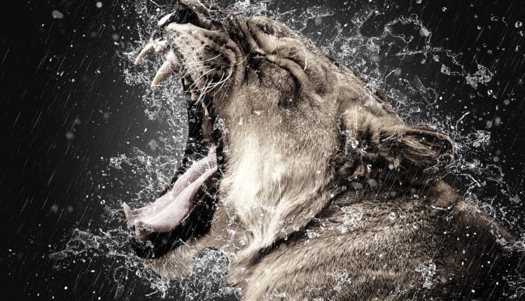 Willy Woo | Wzrost kursu BTC po halvingu? Nie tym razem