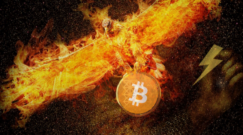 portfel bitcoin phoenix