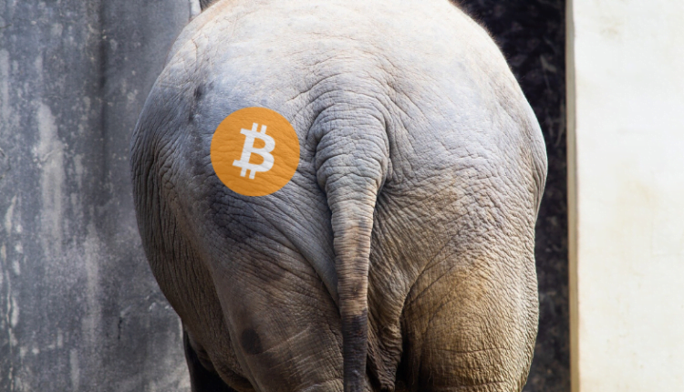 Dupa zbita | Pewna rocznica bitcoina, której nikt nie świętuje…