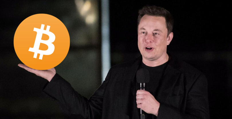 elon musk bitcoin kryptowaluty krypto crypto prawo nielegalne transakcje tesla spacer