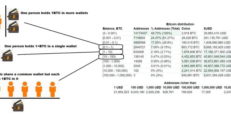 btc-wallets-980×390