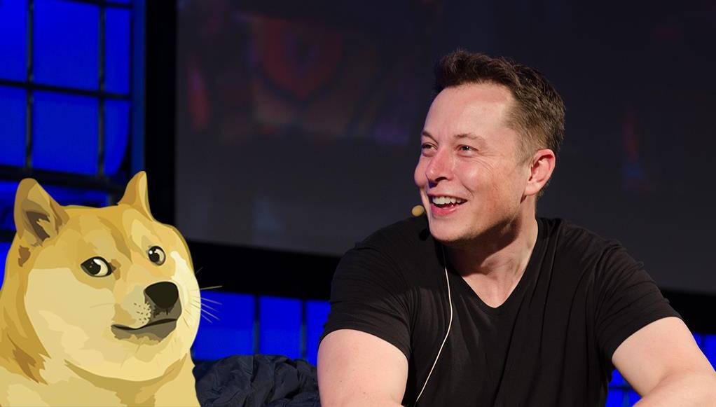 Elon Musk: "Psy rządzą" | HYPE na Dogecoin? | BitHub.pl