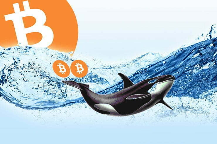 bitcoin umrze