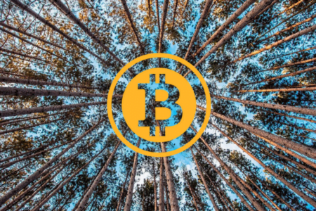 Opłaty transakcyjne w sieci Bitcoin | Jak płacić mniej?