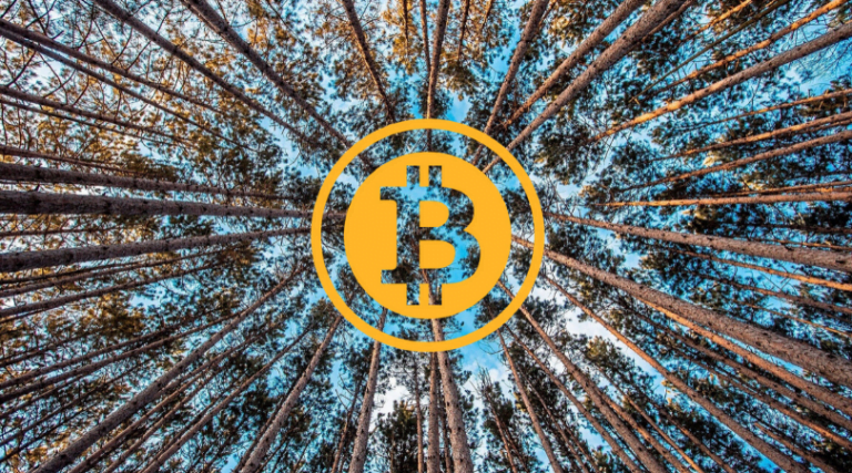 opłaty transakcyjne bitcoin