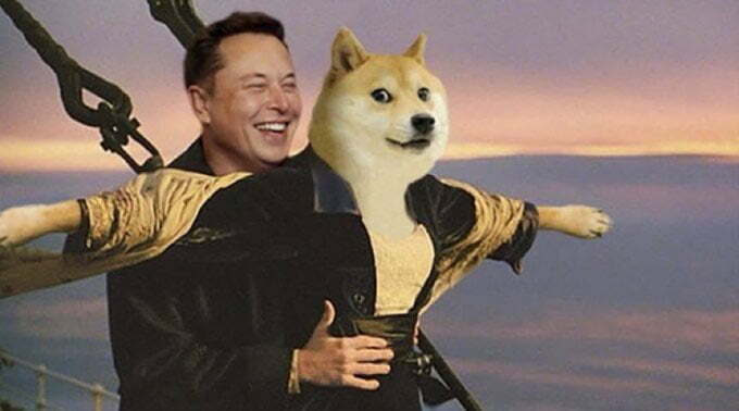 musk doge