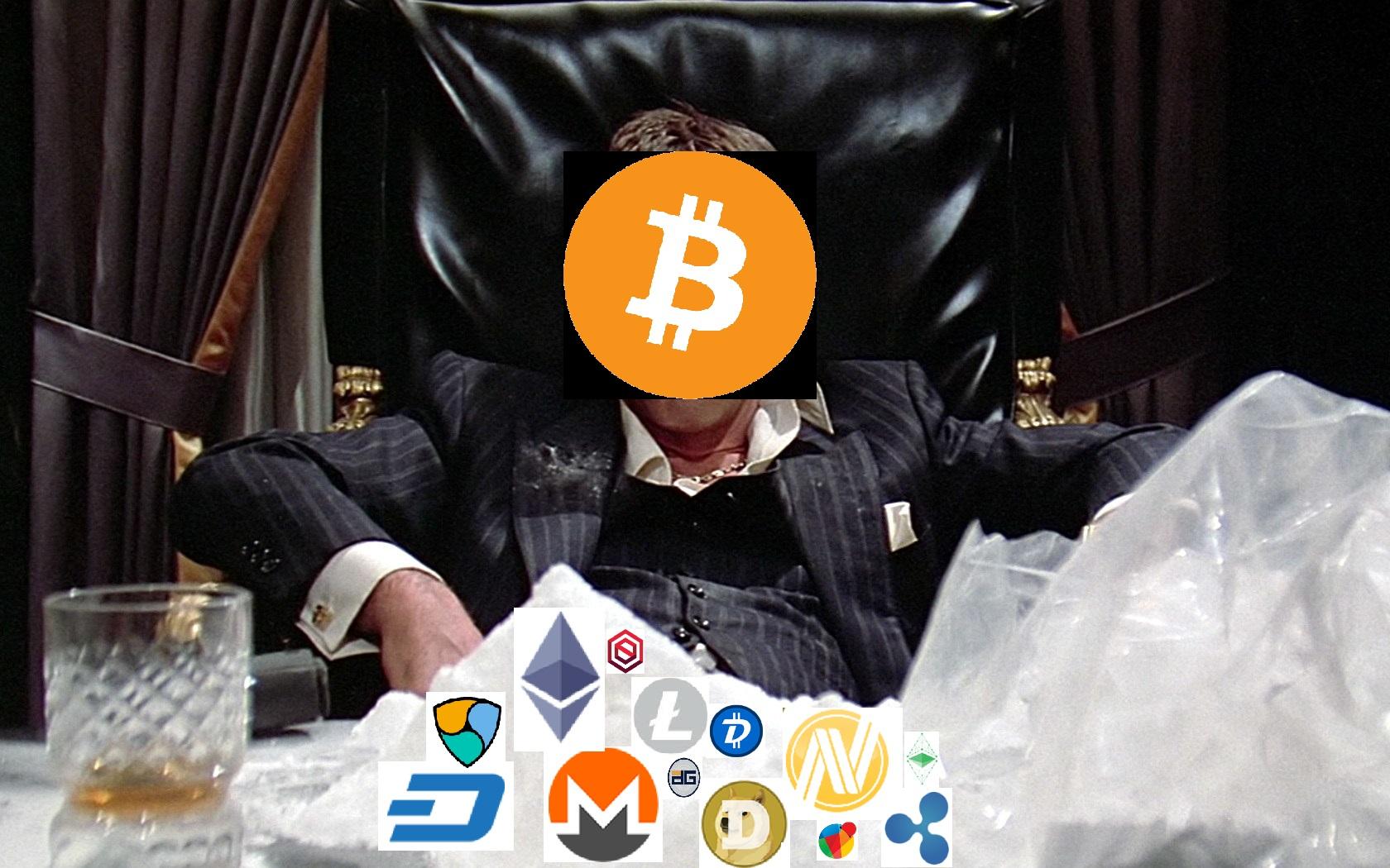 bitcoin zdominuje