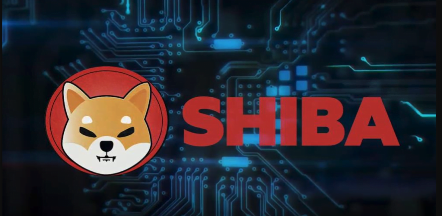 buterin spalił shiba