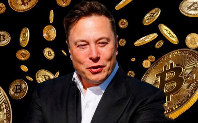 ile bitcoinów ma elon musk