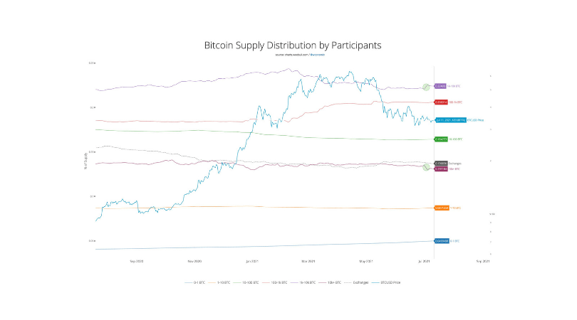 willy woo bitcoin