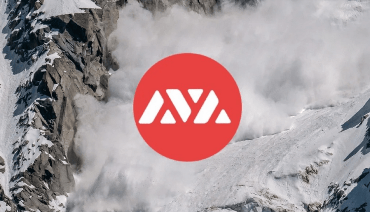 avalanche avax