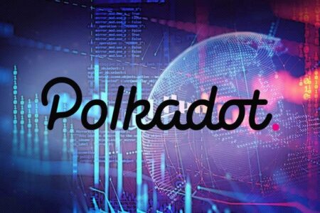 Polkadot przedstawia plany na najbliższe miesiące