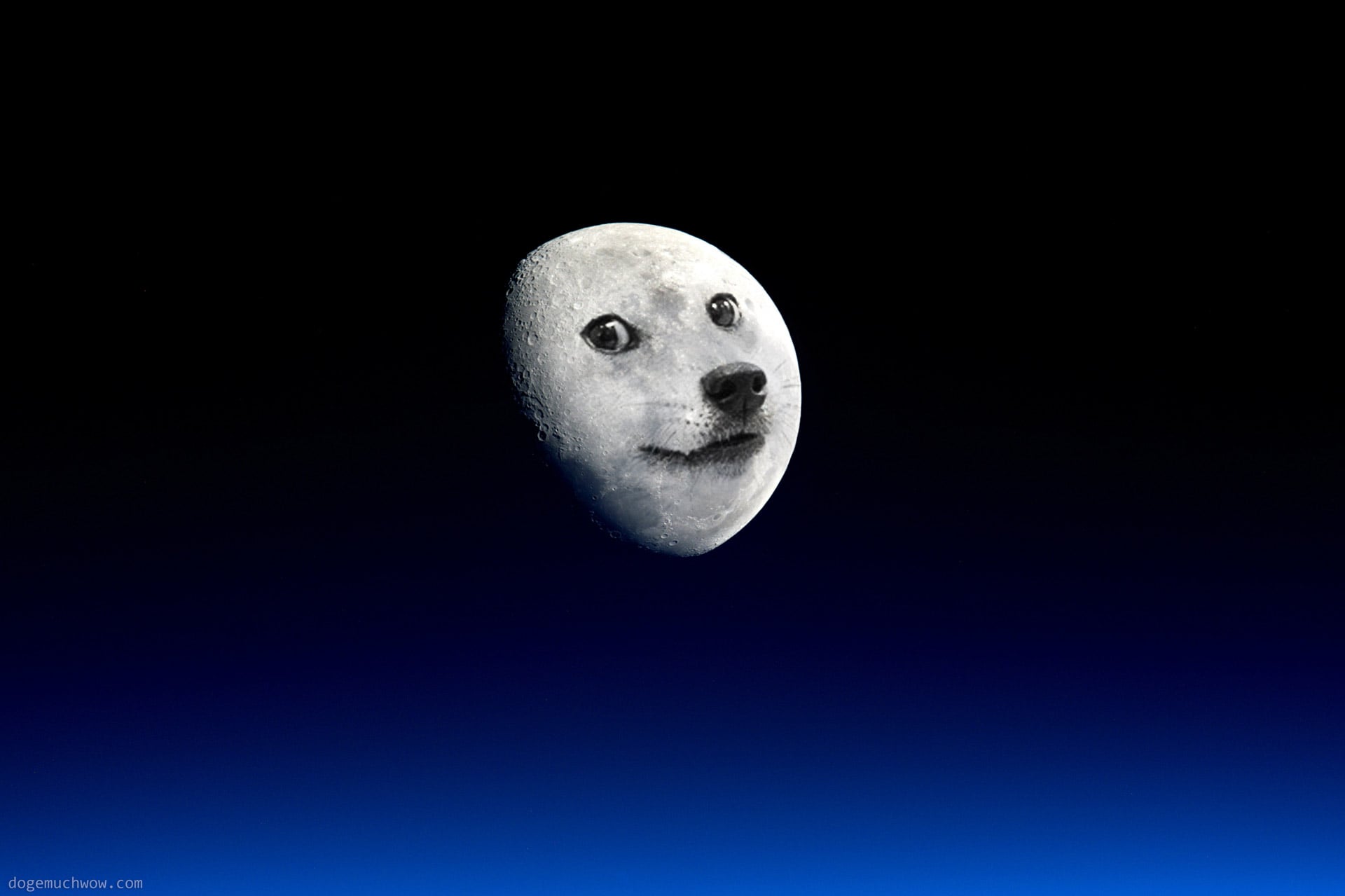 doge elon musk spacex