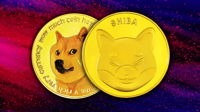 shiba inu dogecoin