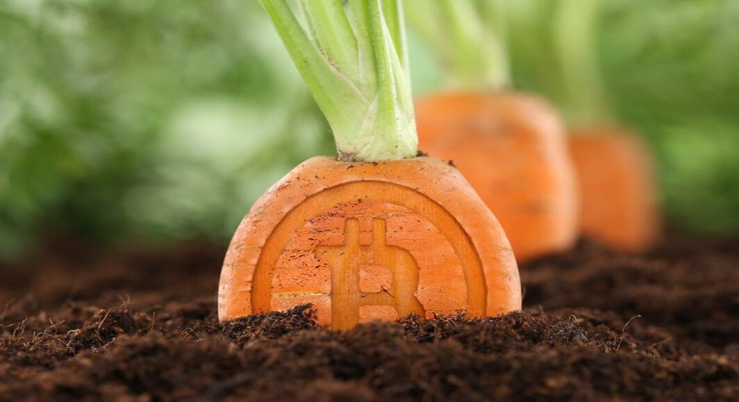 taproot bitcoin