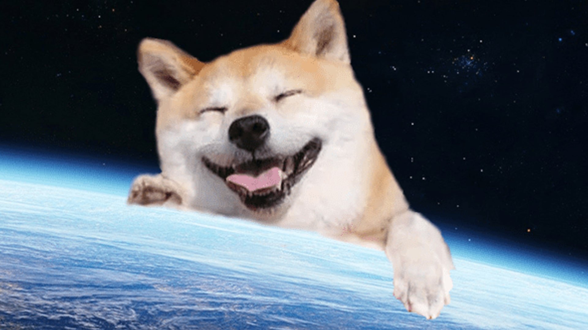 dogecoin whitepaper