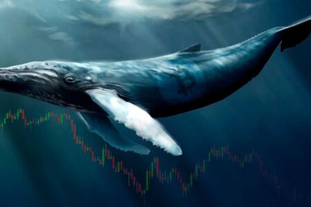 456 BTC na 13 urodziny sieci króla kryptowalut