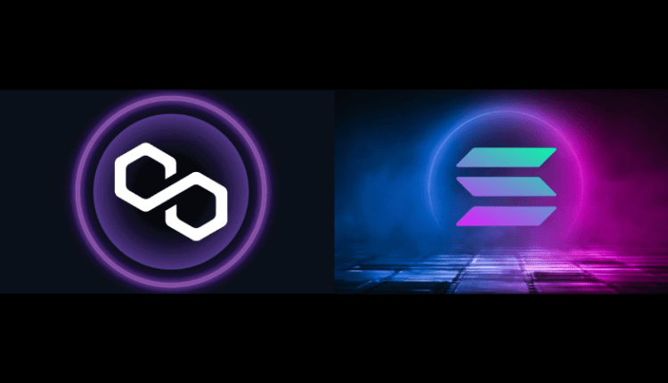 Polygon kontra Solana | Która z sieci cieszy się większym zainteresowaniem?