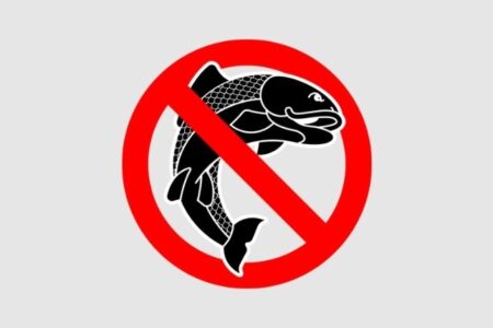 OpenSea wycofuje CryptoPunks V1