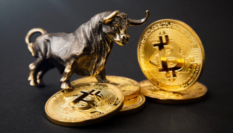 Tim Draper nie traci wiary i czeka na BTC po 250 000$